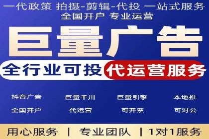 SEM推广实战：成功案例剖析